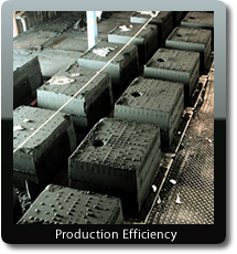 Production Efficiency Production Efficiency