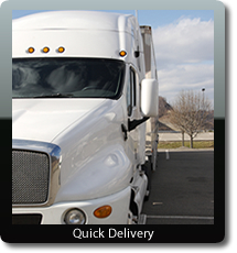 Quick Delivery Quick Delivery